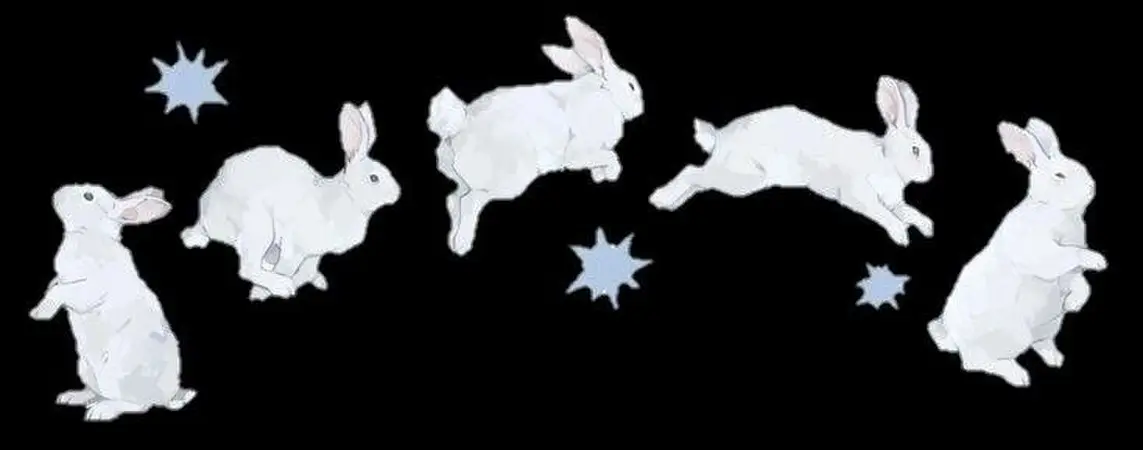 Bunny