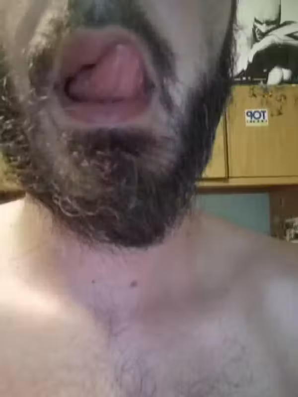 Il Porcautore