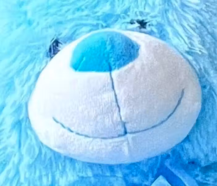 Tedybear4U