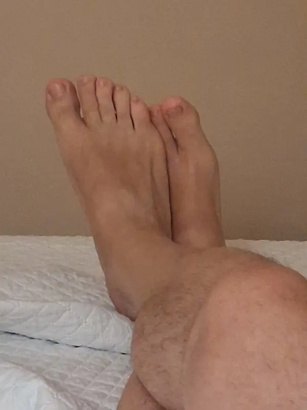 Greek Daddy Bear
