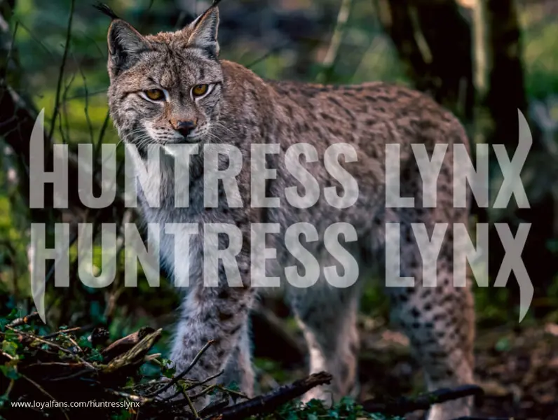 Huntress Lynx