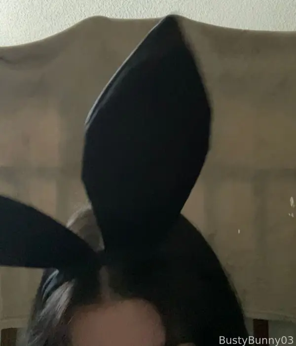 Bunny