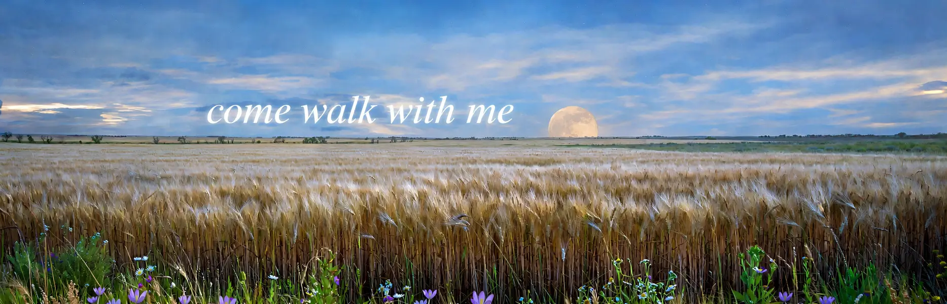 Barefoot Prairies