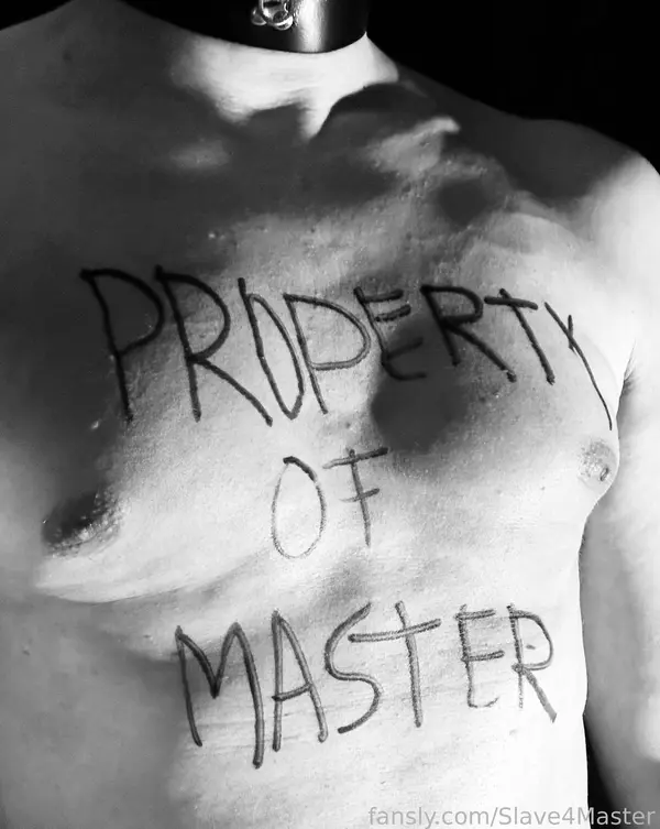 Slave4Master