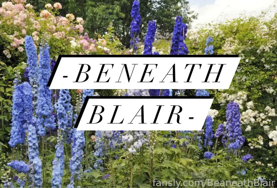 BeaneathBlair