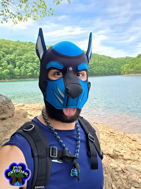 Pup Skysoar