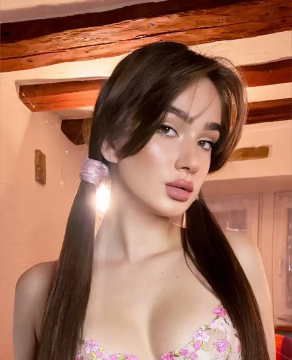 Di 🐰