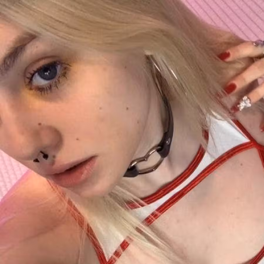 waifukitty