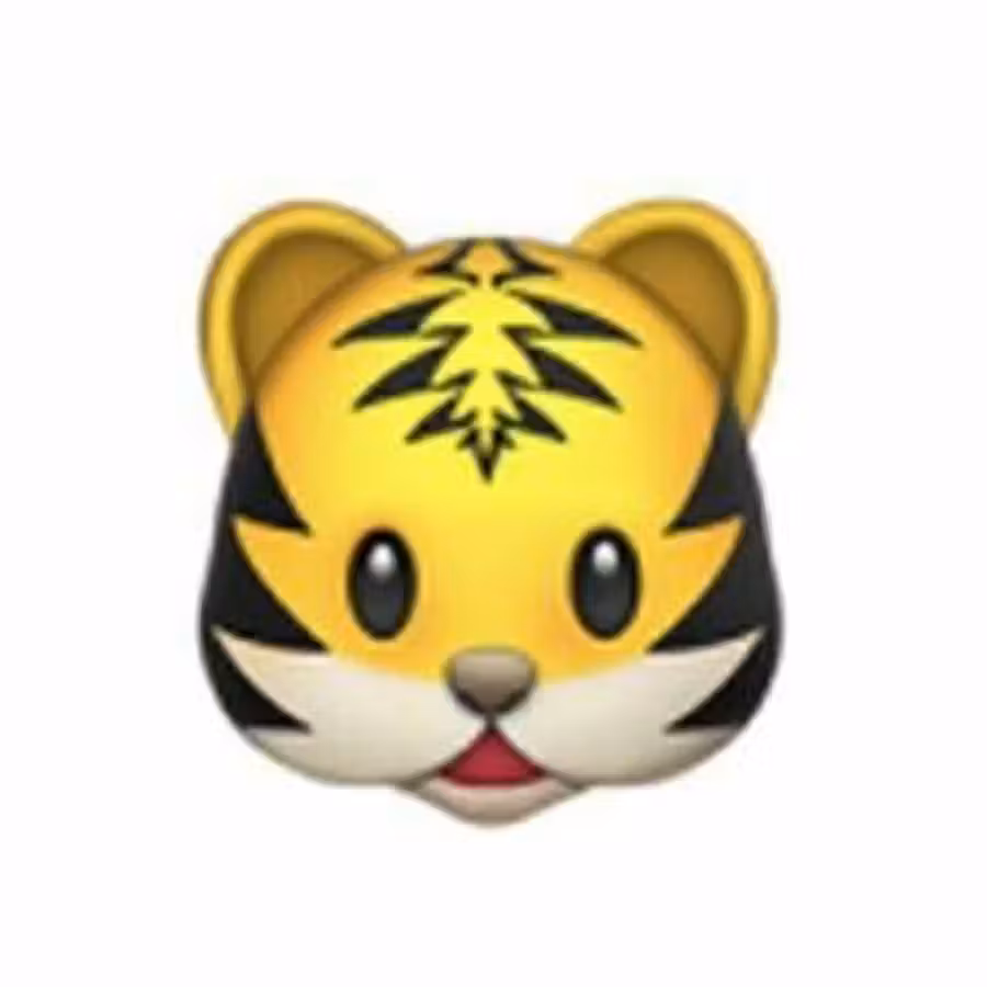🐯